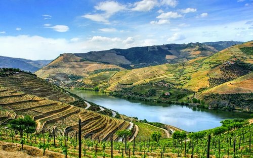 Douro Valley Small Group Wine Tour from Porto