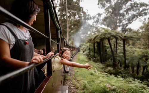 Puffing Billy Train & Penguin Parade Tour with Wildlife Encounters