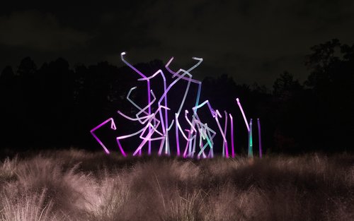 teamLab Botanical Garden Osaka Ticket