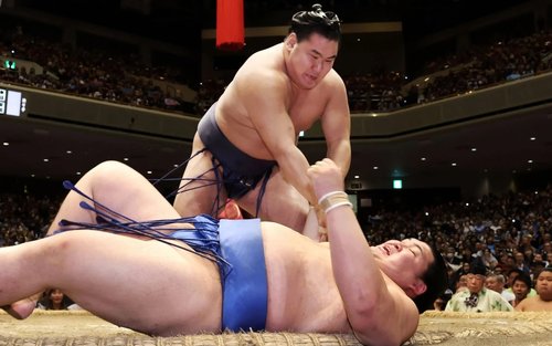 大相撲巡業 神戸場所｜GLION ARENA KOBE 現地観戦ツアー｜大阪集合