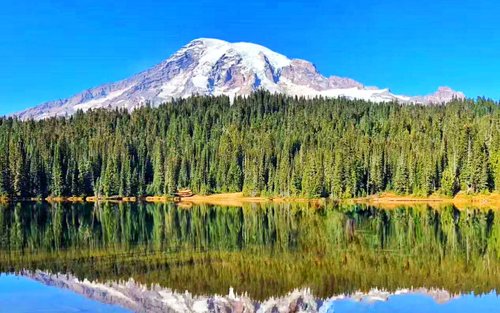 Mount Rainier National Park Day Tour from Seattle