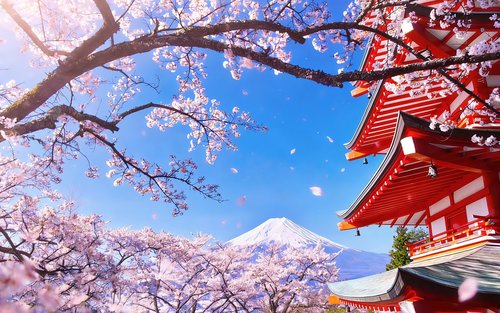 [Mt. Fuji's Six Best Photo Spots + Flower Viewing] Lake Yamanaka for Mt. Fuji Reflection & Hikawa Clock Shop & Lawson Convenience Store & Arakura Sengen Park & Lake Kawaguchi | Departure from Tokyo