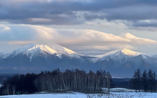 Excursió d'un dia seleccionada a Furano i Biei per a les quatre estacions | Ruta no turística · Experiència en profunditat