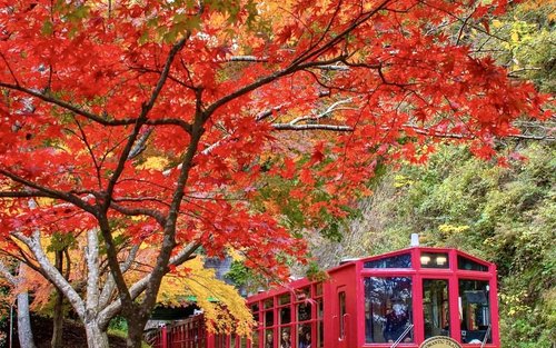 京都のツアー・体験（2025年）TOP10 | Klook 日本