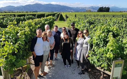 Marlborough Half-Day Wine-Tasting Tour from Blenheim