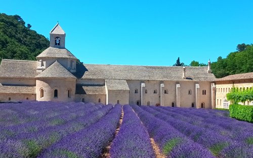 Karanasan sa Avignon Lavender Fields at mga Nayon sa Kalahating Araw
