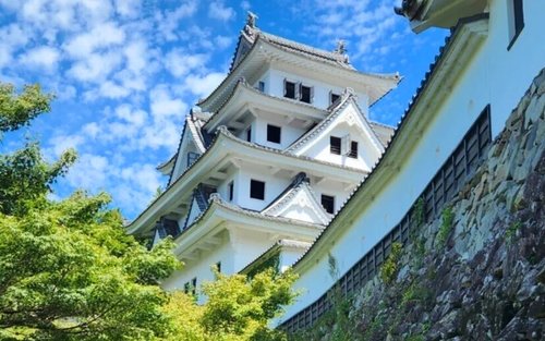Nagoya Gujo Hachiman & Shirakawa-go Gassho Village & Hida Takayama Day Trip (Round Trip from Nagoya, Optional Small Group)