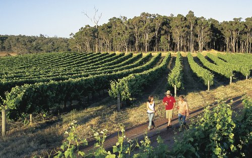 瑪格麗特河洞穴 & 葡萄酒品嚐 & 巴瑟爾頓碼頭之旅