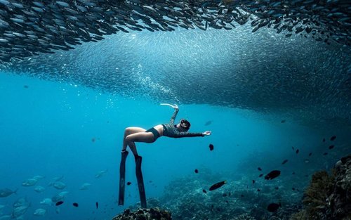 Discover Freediving: One-Day Introduction Experience