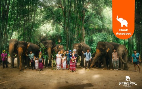 Chiang Mai Kerchor Elephant Eco Park Tour (from Chiang Mai)