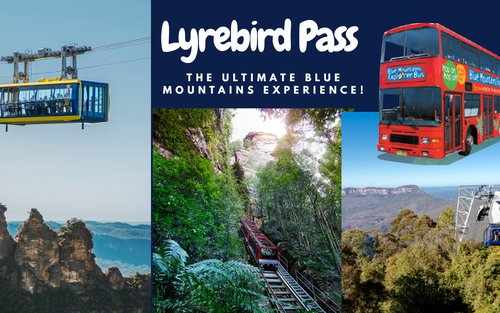 藍山隨上隨下觀光巴士通票（可加選景觀世界門票）