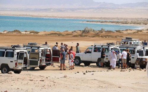 Marsa Alam Wadi El Gemal National Park Full-Day Small Group Tour