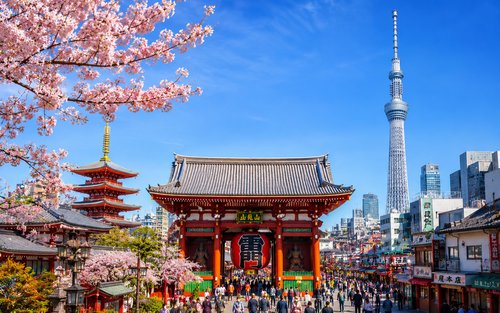 Tour Tham Quan Tokyo Riêng Tùy Chỉnh Cả Ngày