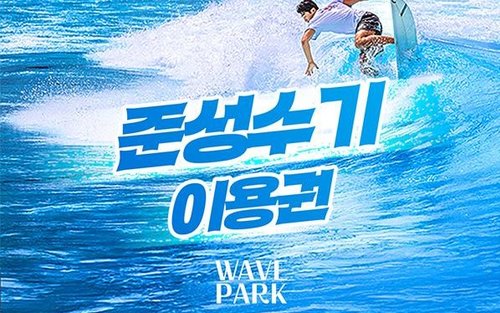 Εισιτήριο χρήσης της ζώνης σέρφινγκ Wave Park στο Σιχούνγκ, Γκιόνγκι