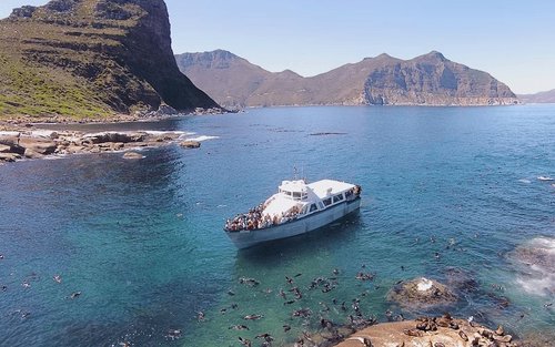 Hop-on-Hop-off City Explorer Pass in Kapstadt