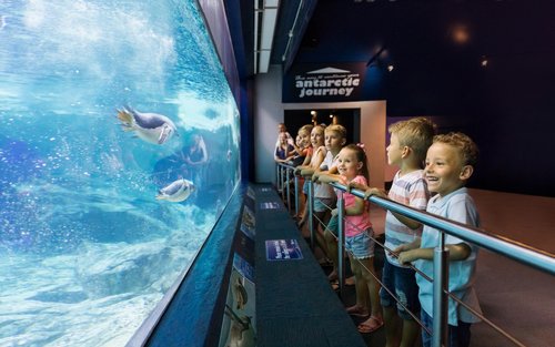 Biglietto Sea World Gold Coast