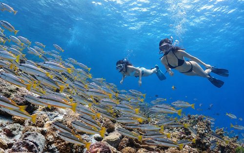ทัวร์เต็มวันดำน้ำตื้นและล่องเรือยอชต์ที่เกาะราชา ภูเก็ต