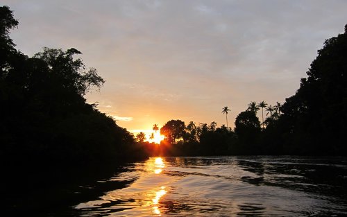 克里亚斯河长鼻猴与萤火虫游船之旅（全程导览）