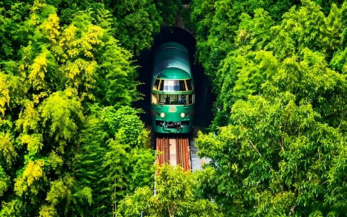 Yufuin no Mori Train Experience | Beppu Hell Tour + Kyushu Natural Animal Park + Yufuin Day Trip (Chinese and English Guides)