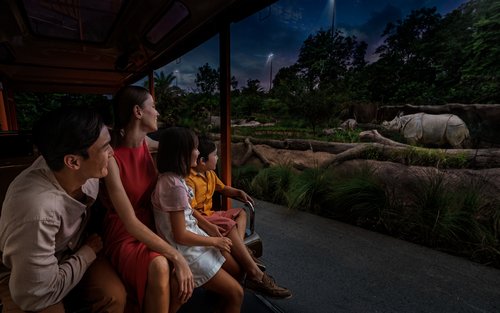 Tiket Night Safari | Mandai Wildlife Reserve, Singapura