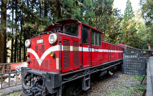 Tour di 1 giorno e di più giorni della Ferrovia forestale di Alishan con partenza da Taichung 