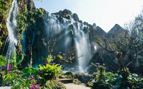 Excursion d'une journée complète à la cascade de Buatong, au Wat Ban Den et au Café Elephant