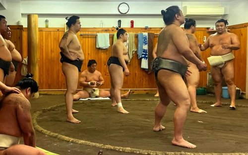 Tokyo Highlights Tour : Sumo, Sushi, Tea, Temples and Tokyo Tower