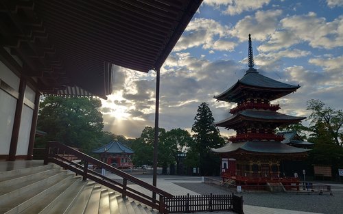 （私人3小时游）成田机场转机过境或搭机前体验