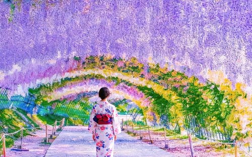 福岡終日ガイド付きツアー：門司港と小倉城