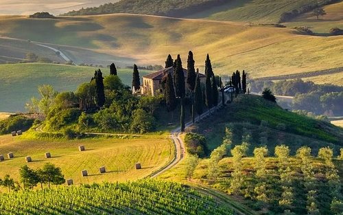 Pisa, Siena and San Gimignano Day Tour from Florence