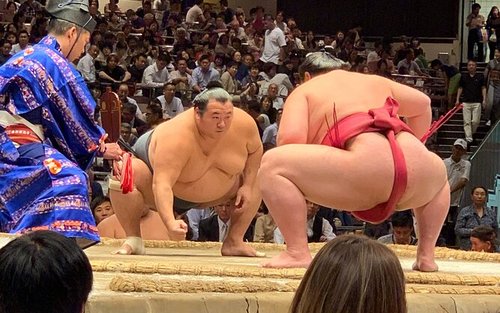 Tokyo Sumo Tournament: Guided Experience with Assigned Seat & Ticket