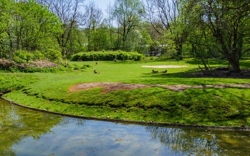 Central Park Self-Guided Audio Tour in New York