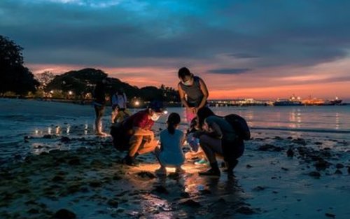 Marine Scientist Day Camp in Singapore