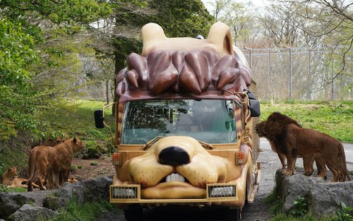 Tokyo Full-Day Small Group Fuji Safari Park & Izu Fruit Park Adventure with Lake Ashi Shrine