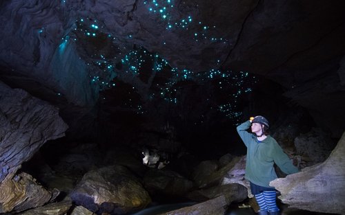 Glowworm Cave Private Tour with Guide from Waitomo