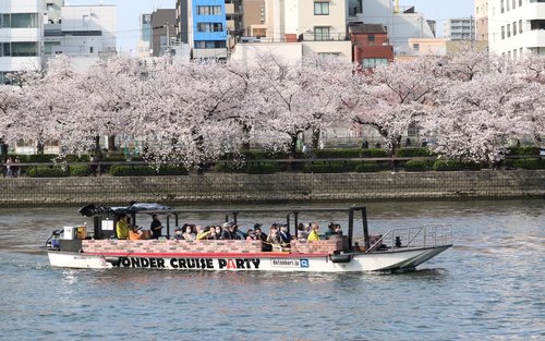 Круиз Osaka Wonder