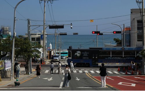 프라이빗 차량 단독 투어: 부산 및 근교 (부산 출발)
