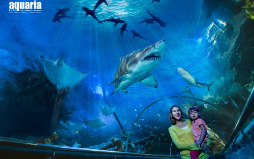 Aquaria KLCC Ticket