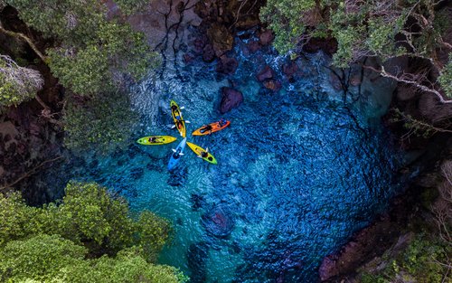 Whenuakura Island (Donut Island) Kayaking Tour from Hamilton