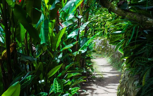 Tiket O&R Garden di Cameron Highlands