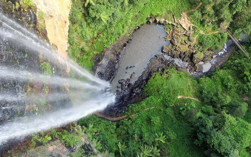 Natural Bridge and Springbrook Waterfalls Tour from Gold Coast