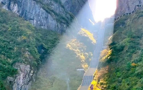 Full-Day Guided Tour of Zhangjiajie Tianmen Mountain National Park