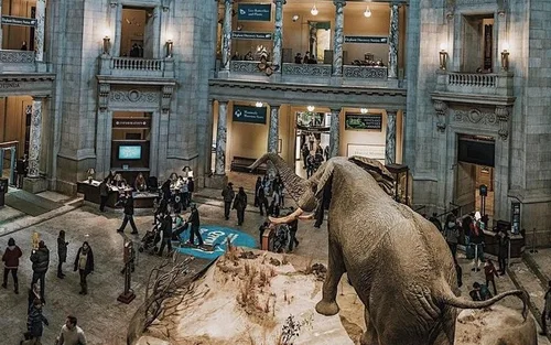 华盛顿州史密森尼国家自然历史博物馆之旅