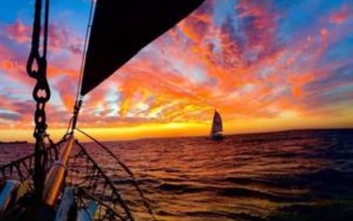 Spirit of Victoria - Crociera nella baia o crociera al tramonto 