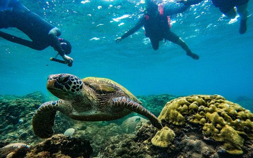Kenting SUP & Snorkeling Experience (5min from the sea)