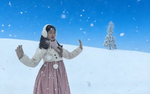 One-Day Tour of Hokkaido | Asahiyama Zoo & Christmas Tree & Shirahige Falls or Shikisai no Oka & Ningle Terrace or Shirogane Blue Pond | Departure from Sapporo