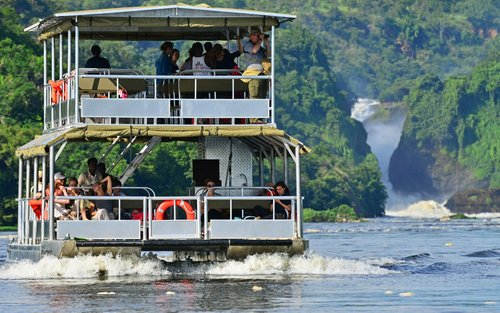 Murchison Falls & Ziwa Rhino Sanctuary Multi-Day Wildlife Safari