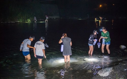 Hualien | 's Nachts garnalen vangen & BBQ-ervaring
