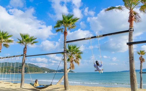 Itoshima | Shiraito Falls & Forest Cafe & Totoro Forest & Grilled Seafood & Handmade Flower Salt Pudding & Sakurai Futamigaura & Angel's Wings & Coconut Tree Swing Day Trip (Departing from Hakata Station) Cantonese, Mandarin & English Guide