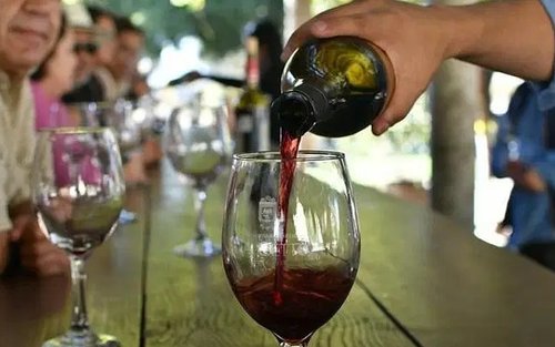 San Diego Valle de Guadalupe Full-Day Wine Country Tour